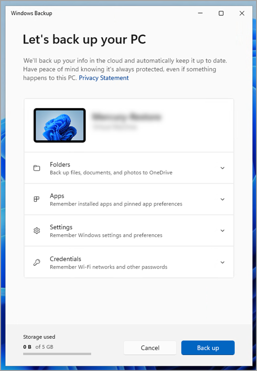 Windows Backup on Windows 11.
